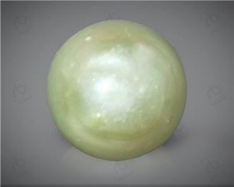 Pearl /Moti  ( South Sea ) Certified 7.88 carats -90352 